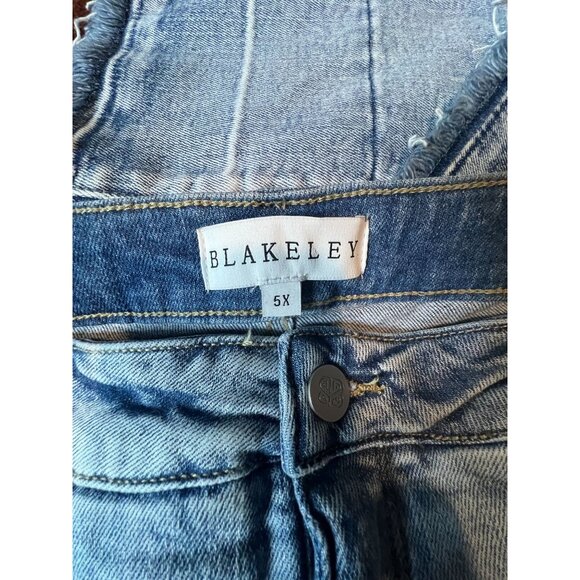 Blakeley Blue Flare Romi Tummy control  Jeans 5X Frayed Hem Boho 5XL (26) Tall - Picture 3 of 9